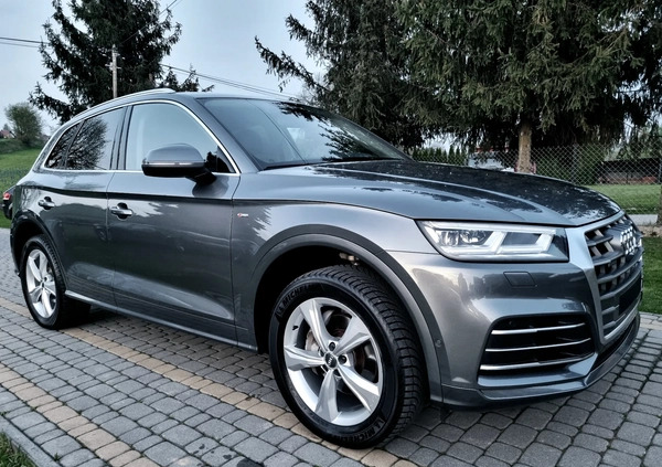 Audi Q5 cena 144500 przebieg: 126900, rok produkcji 2019 z Międzyrzec Podlaski małe 562